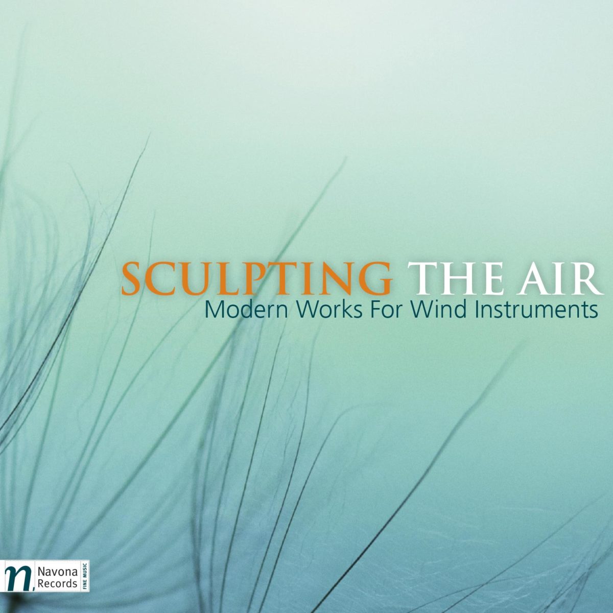 Sculpting the Air – Navona Records